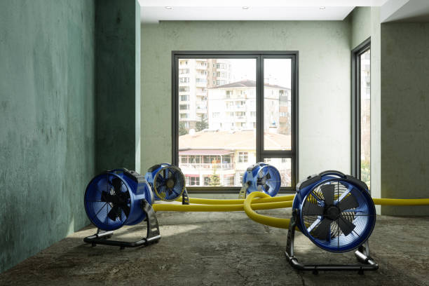 Water damage restoration experts in Avila Beach, CA