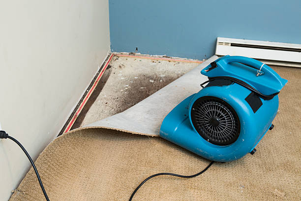 Best Water damage restoration cost  in Avila Beach, CA